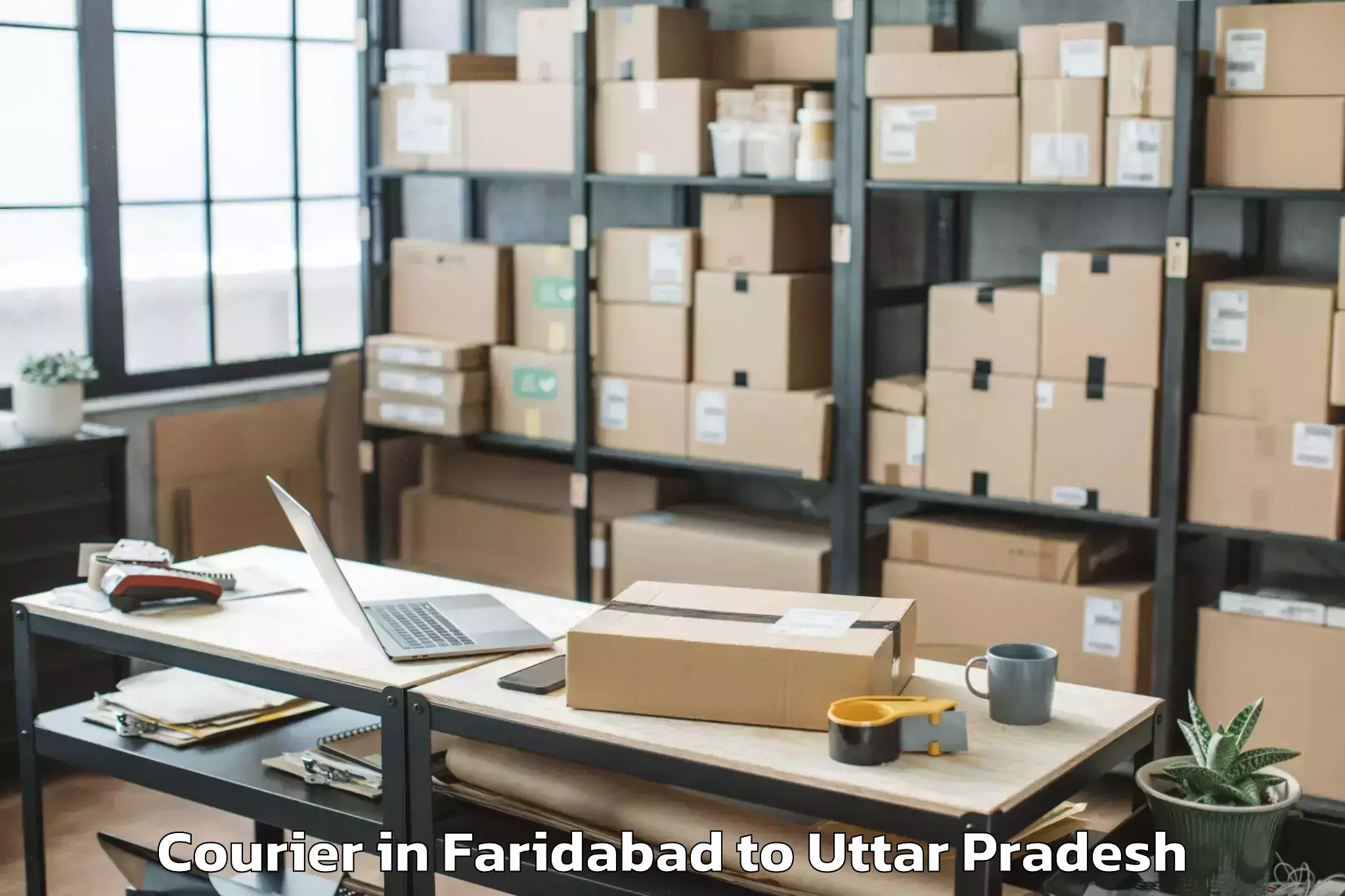 Get Faridabad to Pilkhuwa Courier